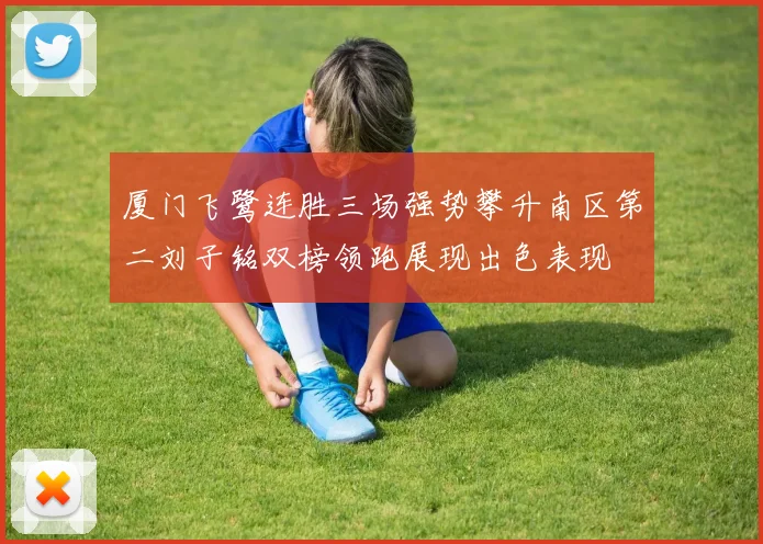 厦门飞鹭连胜三场强势攀升南区第二刘子铭双榜领跑展现出色表现